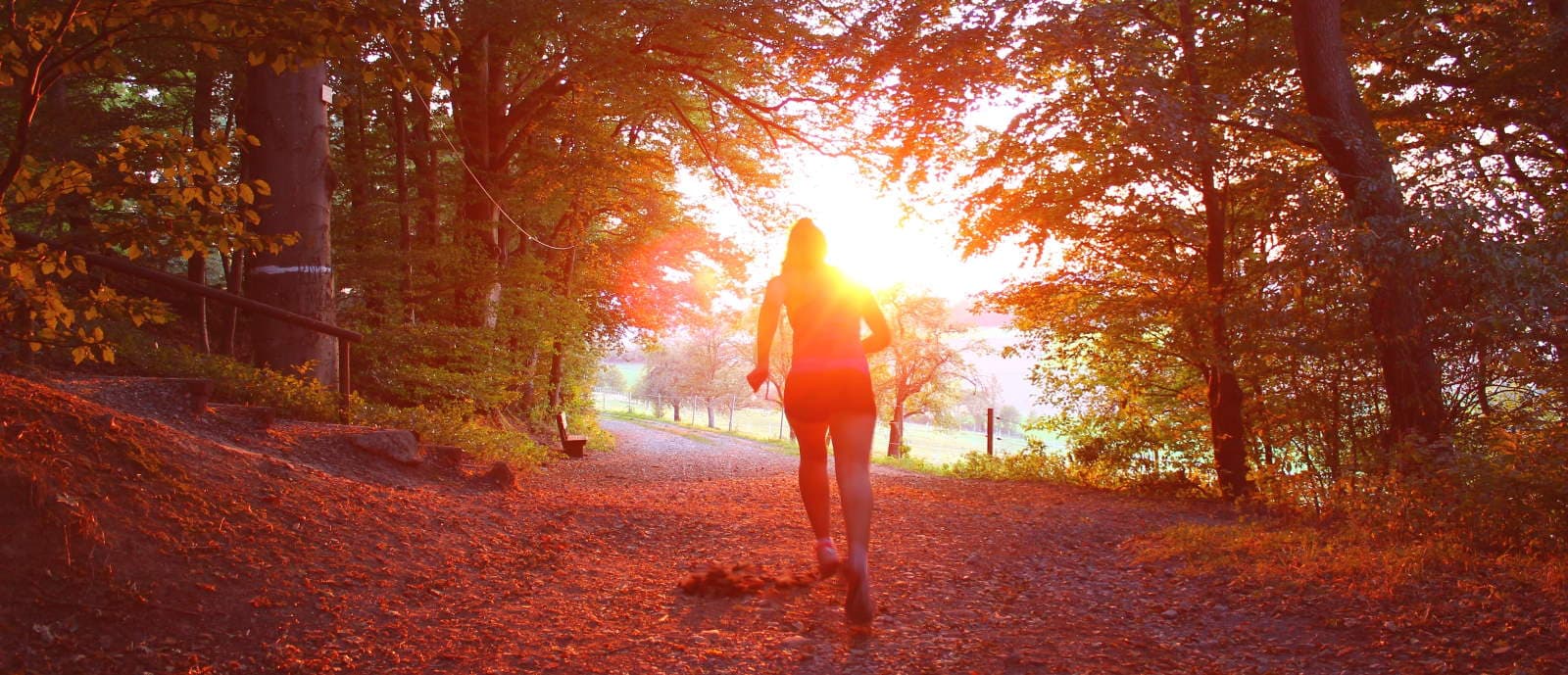 Runner training on a woodland path